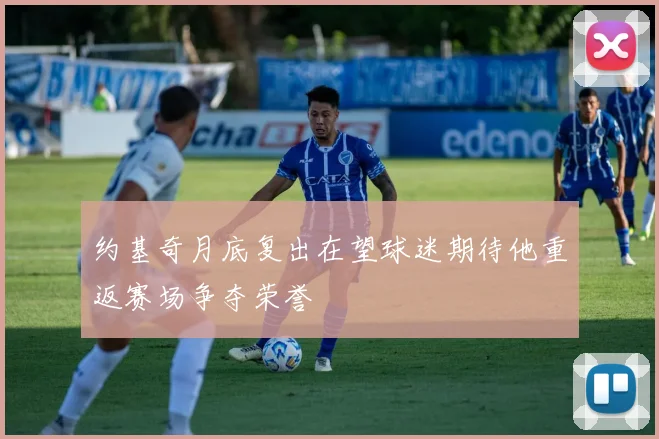 约基奇月底复出在望球迷期待他重返赛场争夺荣誉