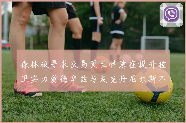 森林狼寻求交易莫兰特意在提升控卫实力爱德华兹与麦克丹尼尔斯不在交易名单内