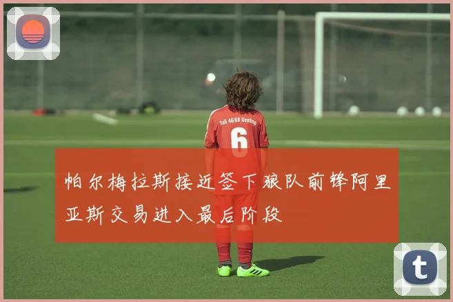 帕尔梅拉斯接近签下狼队前锋阿里亚斯交易进入最后阶段