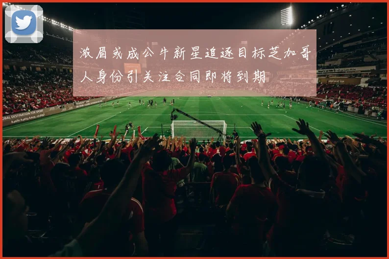 浓眉或成公牛新星追逐目标芝加哥人身份引关注合同即将到期