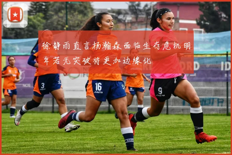 徐静雨直言杨瀚森面临生存危机明年若无突破将更加边缘化