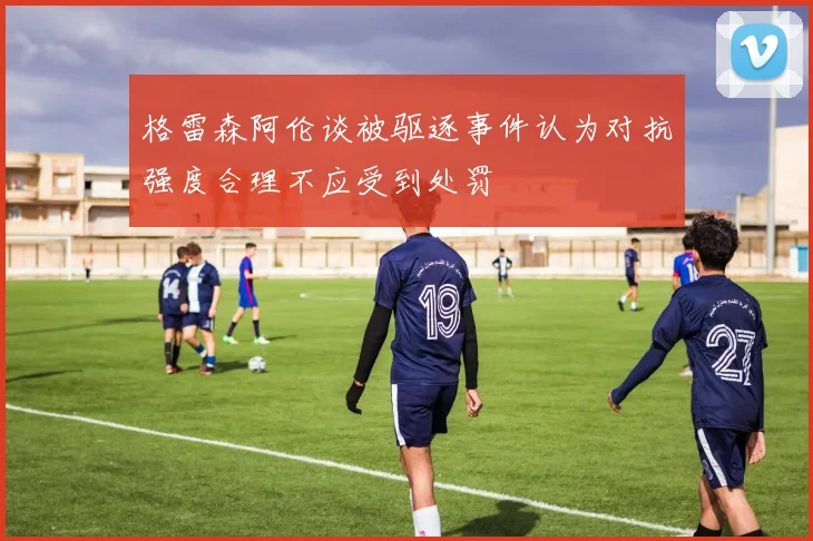 格雷森阿伦谈被驱逐事件认为对抗强度合理不应受到处罚